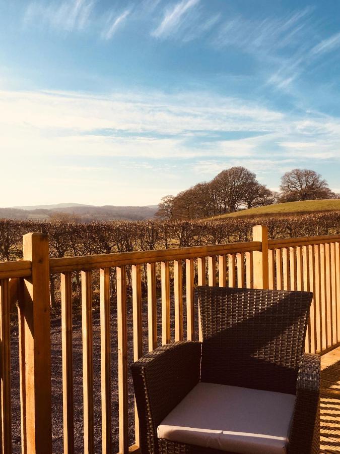 Sunset Cabin 몰드 외부 사진