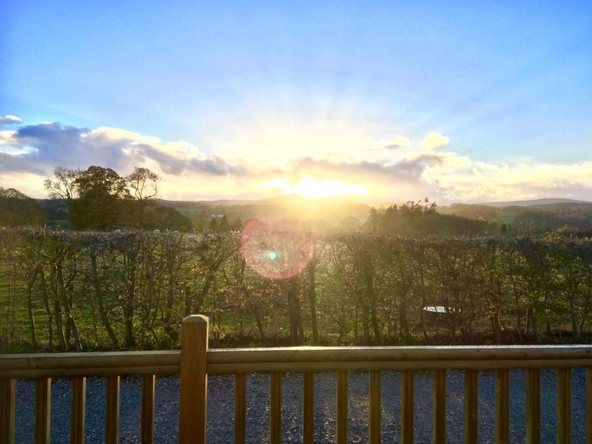 Sunset Cabin 몰드 외부 사진